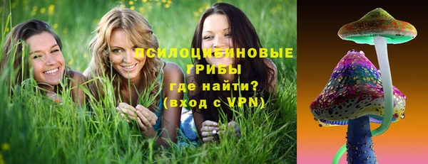 гашик Абаза