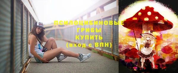 дживик Алексин