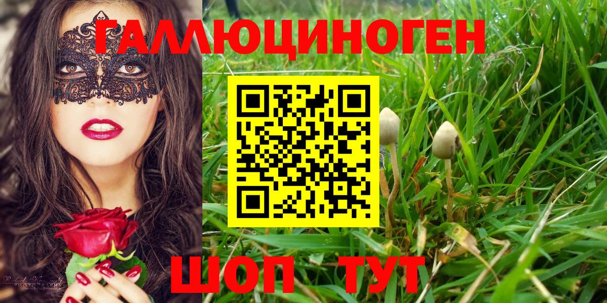 Галлюциногенные грибы ЛСД Сафоново