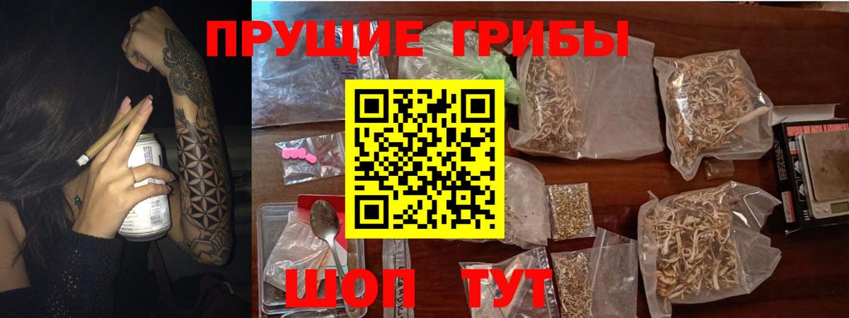 как найти   Псилоцибиновые грибы Cubensis  Вход с VPN  Галлюциногенные грибы мухоморы  Сафоново 